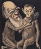 Charles Darwin Caricature Poster Print by Science Source - Item # VARSCIBD4614