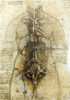 Da Vinci Female Anatomical Study, 1507 Poster Print by Science Source - Item # VARSCIJA0767