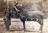 http://c328301.r1.cf1.rackcdn.com/SCIJB8732LARGE.jpg