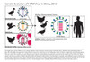 H7N9, Influenza A, Avian Flu Virus Poster Print by Science Source - Item # VARSCIJC1396