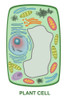Plant Cell Poster Print by Gwen Shockey/Science Source - Item # VARSCIJA0550