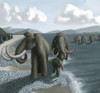 Mammoth Poster Print by Spencer Sutton/Science Source - Item # VARSCIBW0840