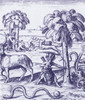Exploration 1598 Poster Print by Science Source - Item # VARSCIBQ2766