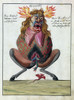 Demonology, 18th Century Poster Print by Science Source - Item # VARSCIJC4336