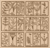 Edible herbs Poster Print by Science Source