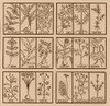 Edible herbs Poster Print by Science Source