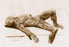 A flayed cadaver Poster Print by Science Source - Item # VARSCIBQ2802