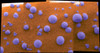 Martian soil Poster Print by Science Source - Item # VARSCIBT9697