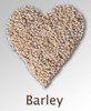 Barley Heart Poster Print by Gwen Shockey/Science Source - Item # VARSCIJA7953