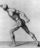 Borghese Warrior Poster Print by Science Source - Item # VARSCIBD9257