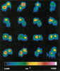 Castalia Asteroid Sequence, False-Color Coding, 1989 Poster Print by Science Source - Item # VARSCIBT6928