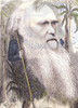 Charles Robert Darwin, English Naturalist Poster Print by Science Source
