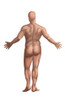Nude Man Poster Print by Spencer Sutton/Science Source - Item # VARSCIBW0834