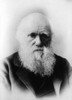 Charles Robert Darwin, English Naturalist Poster Print by Science Source