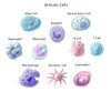 Immune Cells, Illustration Poster Print by Spencer Sutton/Science Source - Item # VARSCIJB0981