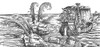 Sea Monsters or Whales, 16th Century Poster Print by Science Source - Item # VARSCIBY0469