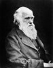 Charles Darwin, English Naturalist Poster Print by Science Source - Item # VARSCIJA0928