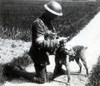 WWI, British Messenger Dog Poster Print by Science Source - Item # VARSCIBZ7821