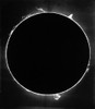 Solar Prominence, 1929 Poster Print by Science Source - Item # VARSCI8Y5517