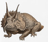 Triceratops Illustration Poster Print by Science Source - Item # VARSCIBP3378