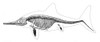 Ichthyosaur Skeleton, Mesozoic Reptile Poster Print by Science Source - Item # VARSCIBX3738