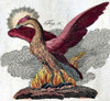 Phoenix, Legendary Creature Poster Print by Science Source - Item # VARSCIBY0532