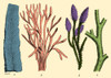 Silurian Plants Poster Print by Science Source - Item # VARSCIJB3483
