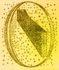 Galactic Model, Herschel, 1784 Poster Print by Science Source
