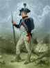 American Continental Soldier Poster Print by Science Source - Item # VARSCIBR7480