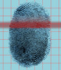 Arch Fingerprint Poster Print by Spencer Sutton/Science Source - Item # VARSCIJB0989