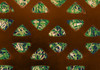 Band Aid, SEM Poster Print by Science Source - Item # VARSCIBX4640
