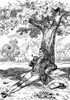 Isaac Newton, English Polymath Poster Print by Science Source - Item # VARSCIBT6957