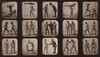 Muybridge Locomotion, Athletes Posturing, 1881 Poster Print by Science Source - Item # VARSCIBW2510