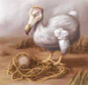 Dodo Bird, Illustration Poster Print by Spencer Sutton/Science Source - Item # VARSCIJB0993