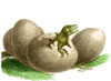 Dinosaur Egg Hatching Poster Print by Spencer Sutton/Science Source - Item # VARSCIBT7282