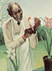 George W. Carver, American Scientist Poster Print by Science Source