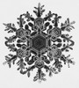 Snowflake Poster Print by Science Source - Item # VARSCI8H8700