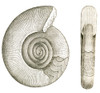 Devonian Ammonite Poster Print by Science Source - Item # VARSCI9N3114