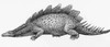 Stegosaurus Illustration Poster Print by Science Source - Item # VARSCIBN6708