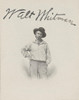 Walt Whitman, American Poet Poster Print by Science Source - Item # VARSCIBU2710