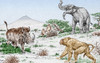 Prehistoric Extinct Animals Poster Print by Science Source - Item # VARSCIBR8943