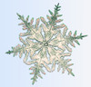 Snowflake Poster Print by Science Source - Item # VARSCIBQ7546