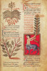 Centaur, Legendary Creatures Poster Print by Science Source - Item # VARSCIBY0515