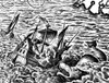 Sea Serpent Attacking Ship, 1583 Poster Print by Science Source - Item # VARSCIBY0477