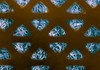 Band Aid, SEM Poster Print by Science Source