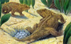 Seymouria, Extinct Reptiliomorph Poster Print by Science Source - Item # VARSCIJC1071