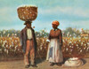 Sharecroppers, 19th Century Poster Print by Science Source - Item # VARSCIBV7010