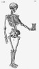 Skeleton with Hourglass, 16th century Poster Print by Science Source - Item # VARSCIJB1742