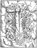 ParÔøΩ?_ÔøΩ?_ Comet, 1528 Poster Print by Science Source - Item # VARSCI9N3074