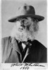Walt Whitman, American Poet Poster Print by Science Source - Item # VARSCI9N1605